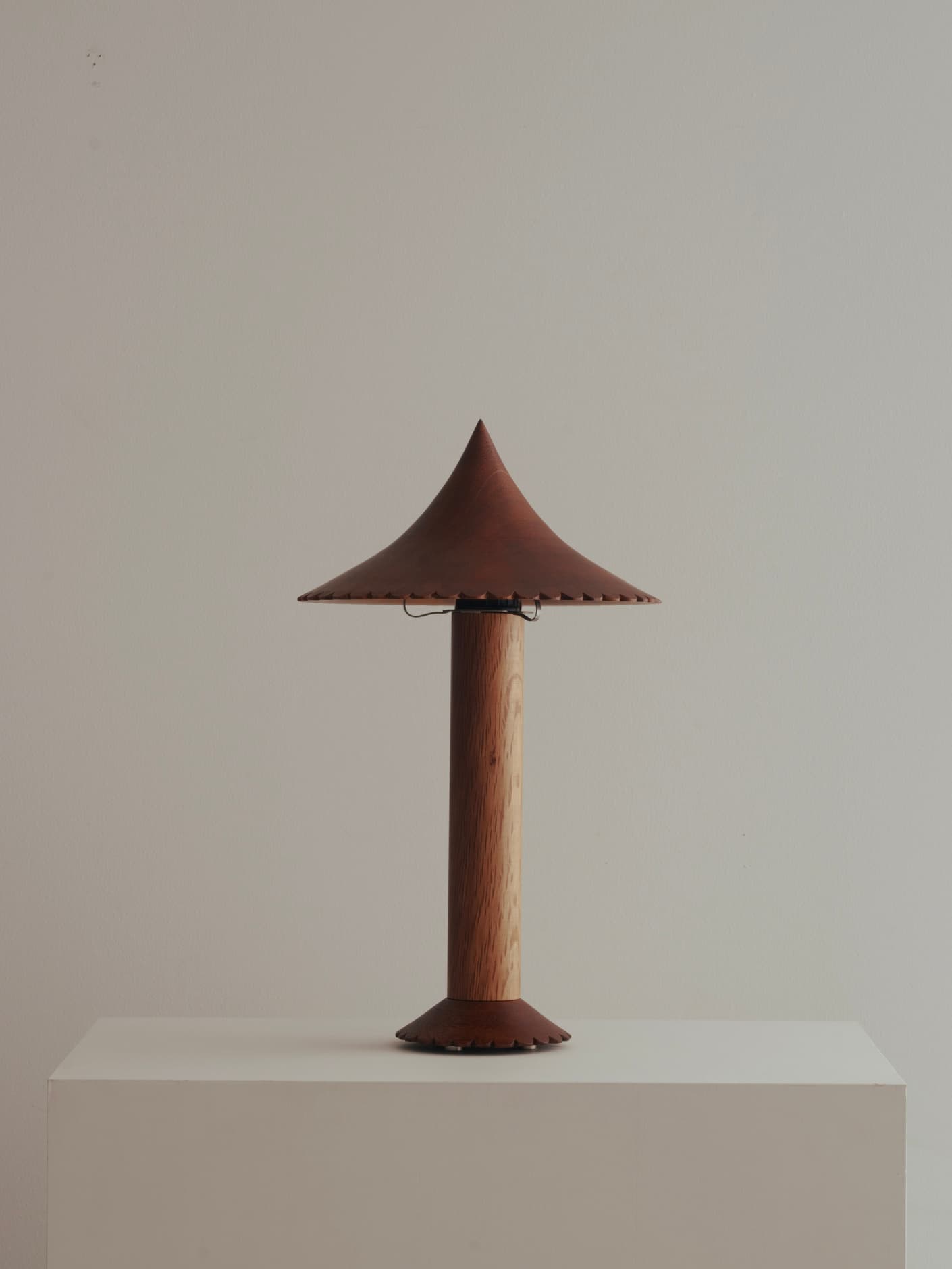 The ¨Pole and Fringe¨ Lamp