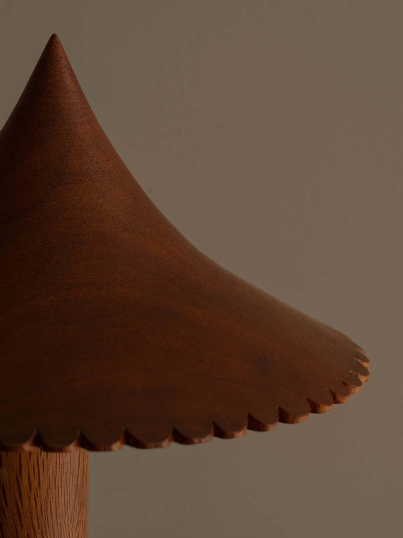 The ¨Pole and Fringe¨ Lamp