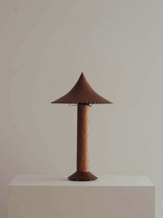 The ¨Pole and Fringe¨ Lamp