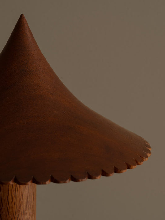 The ¨Pole and Fringe¨ Lamp