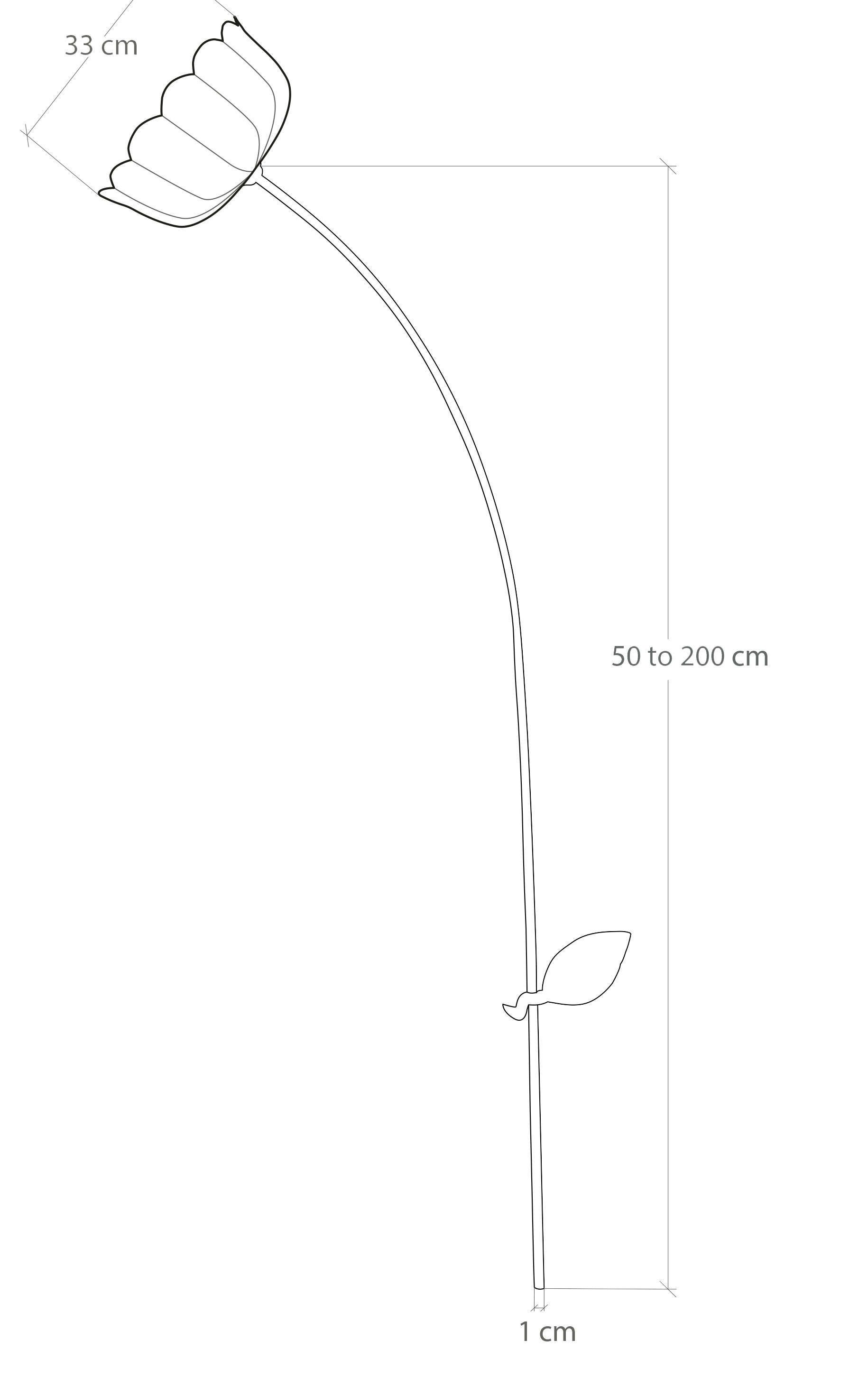 Table Illustration