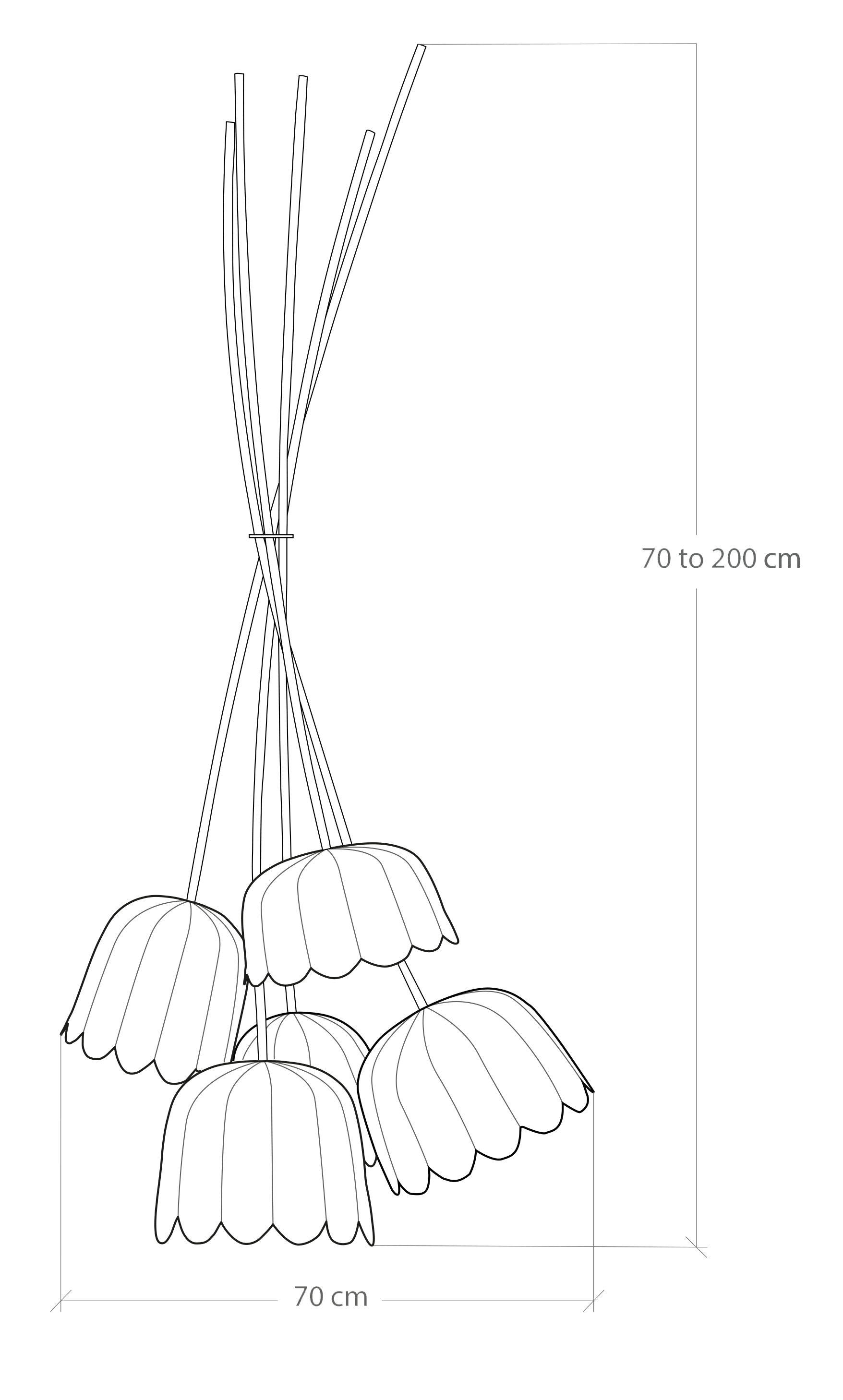 Table Illustration