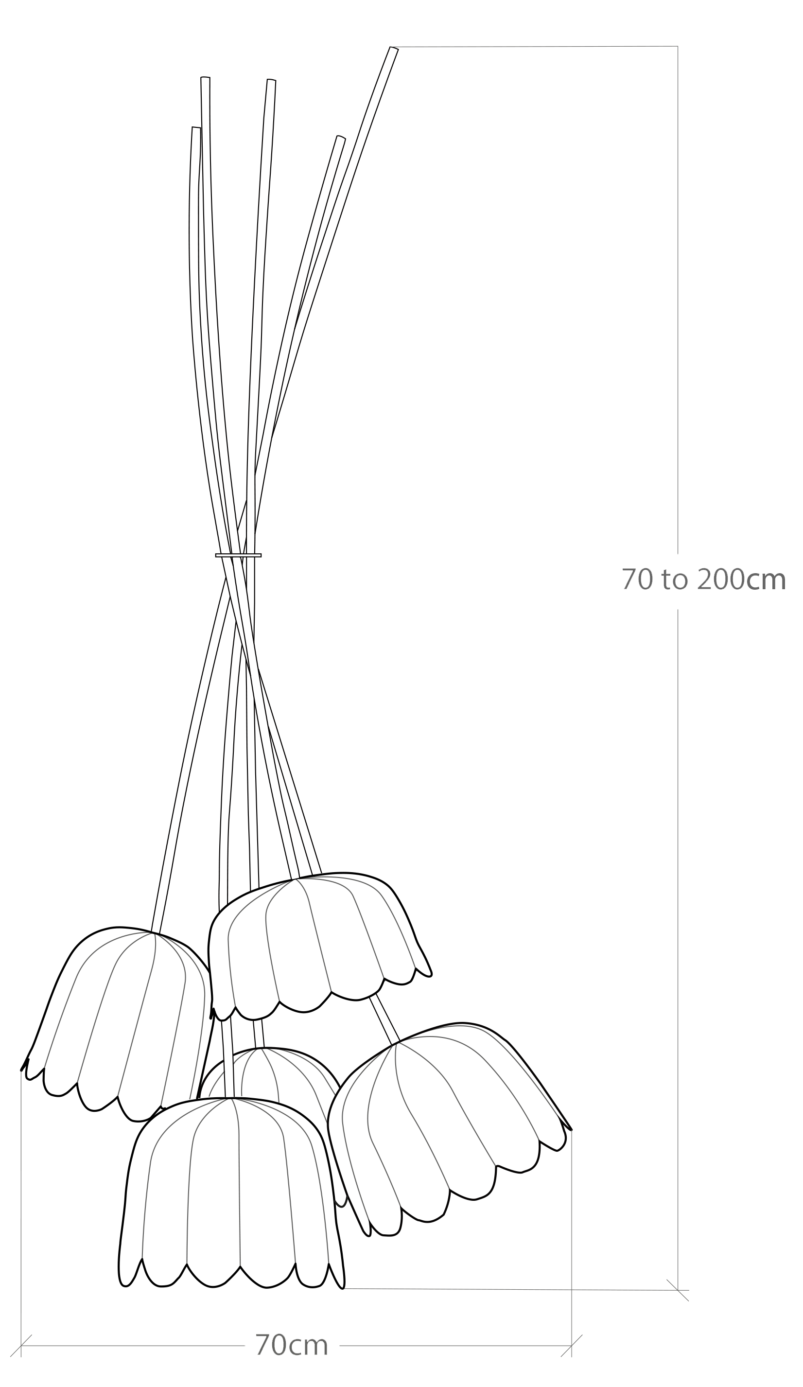 Table Illustration