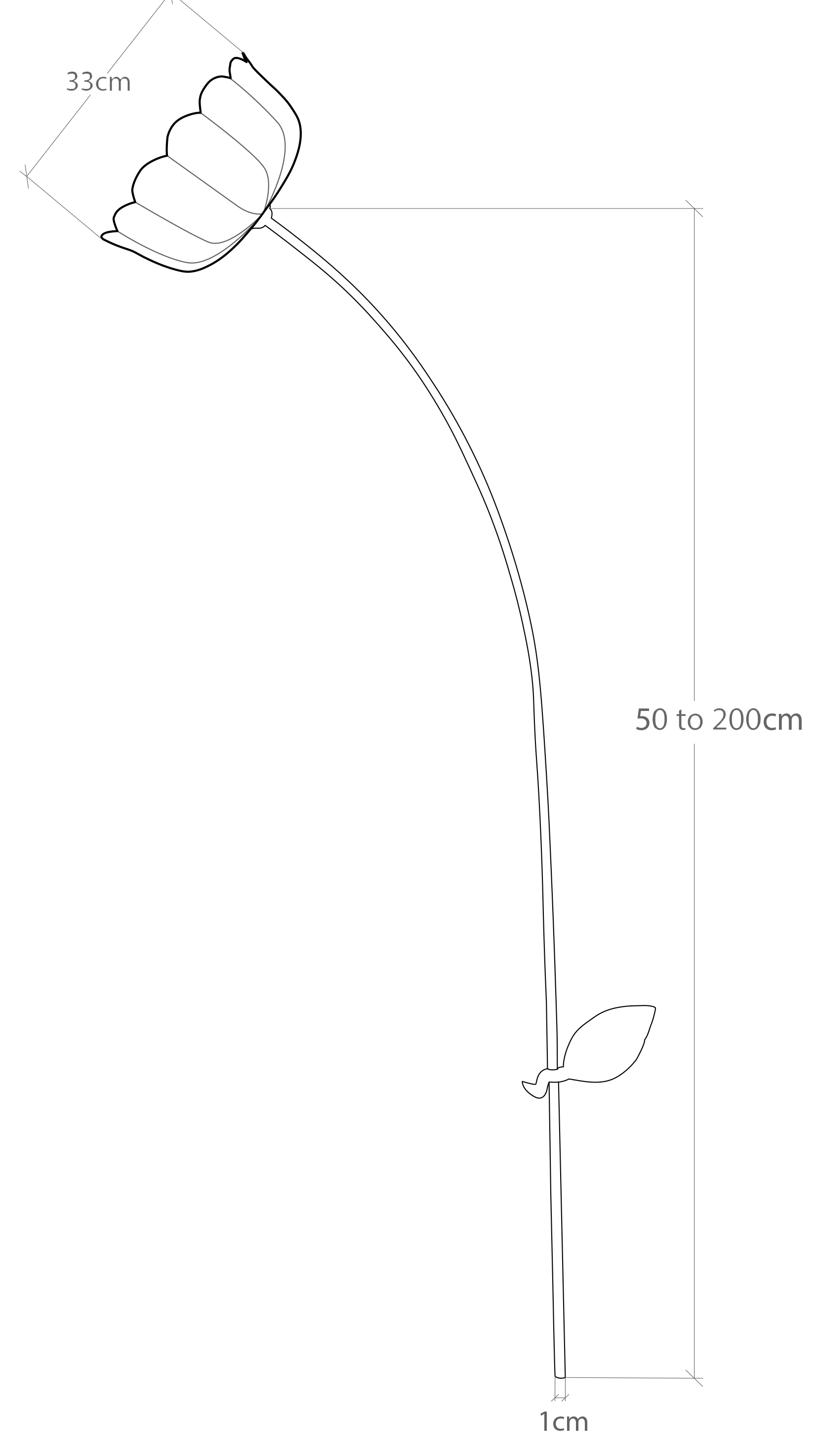 Table Illustration