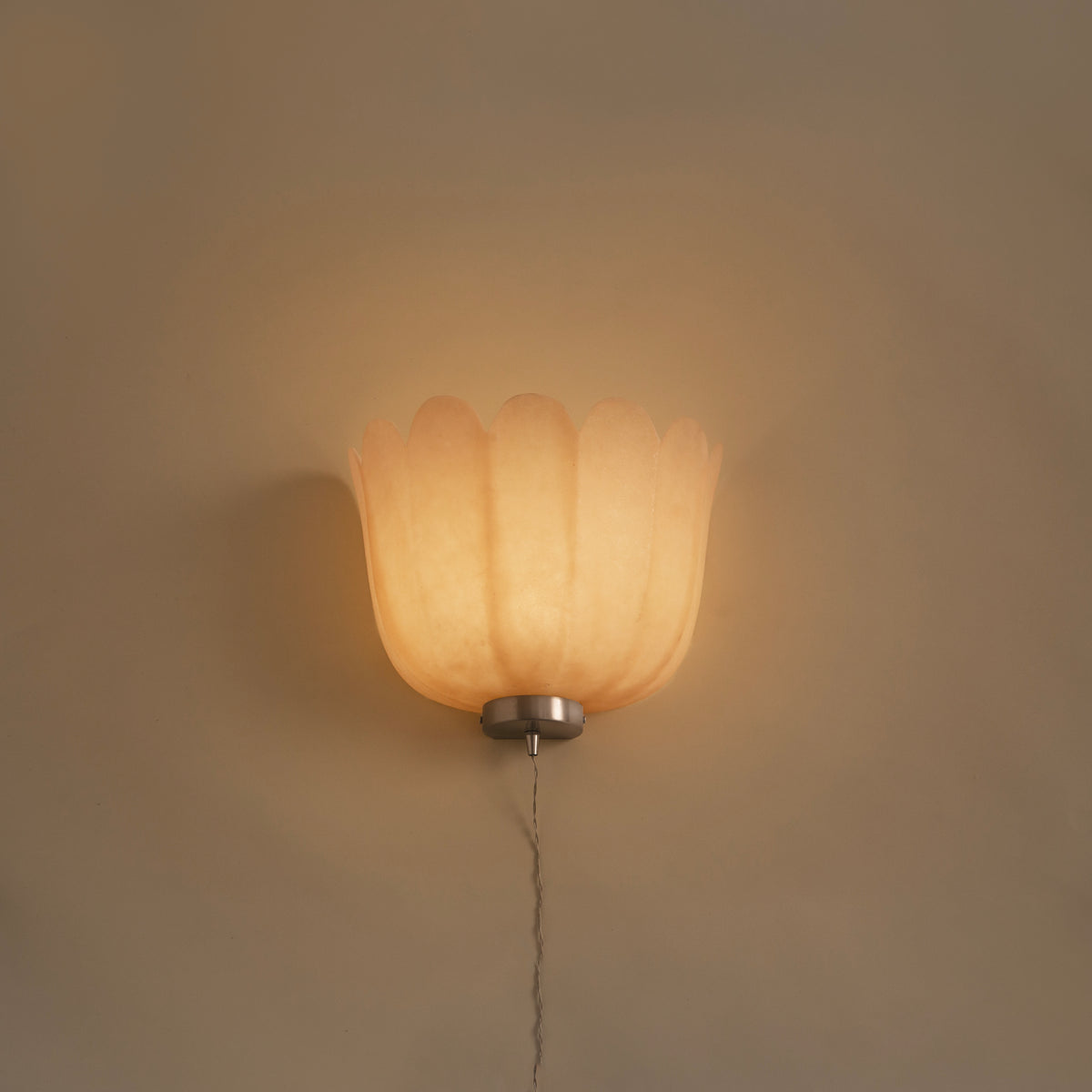 The ¨Feather¨ Wall Lamp