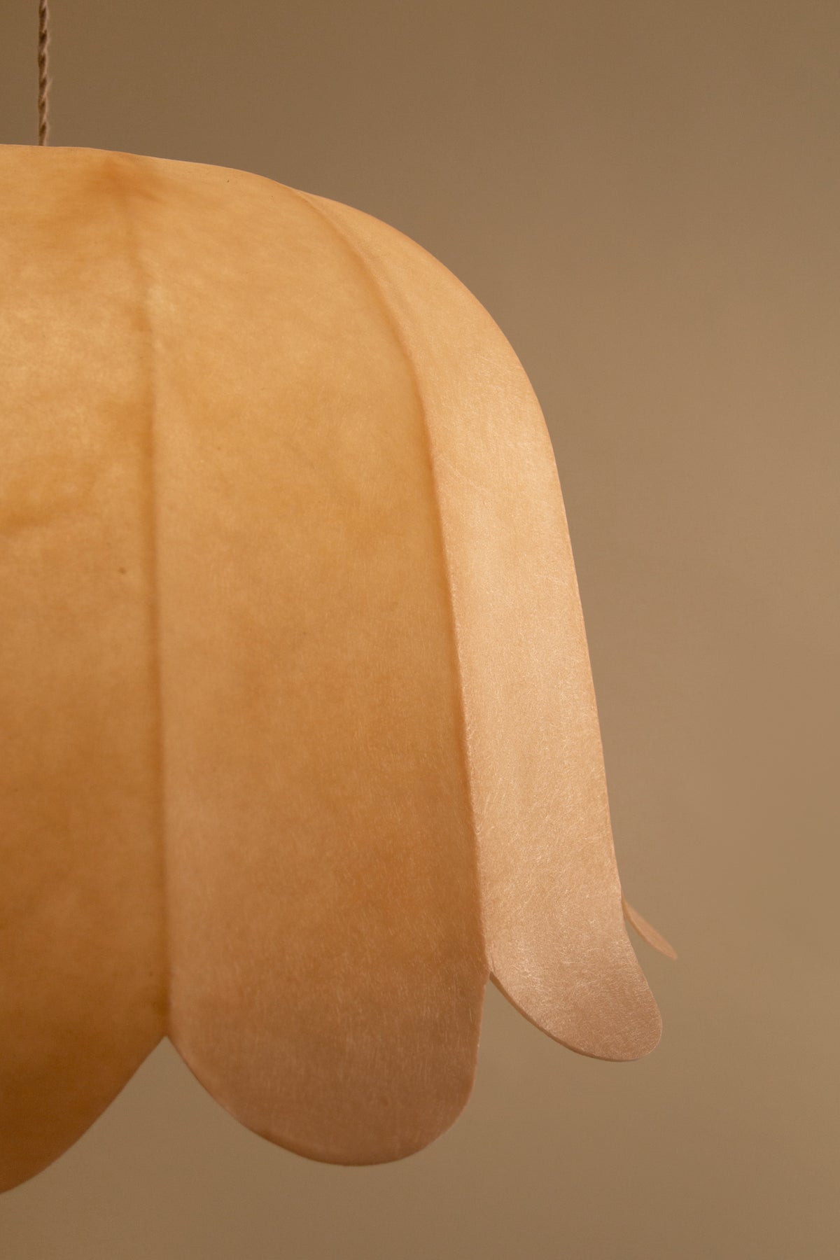 The ¨Feather¨ Pendant - Model 3 (1 shade)