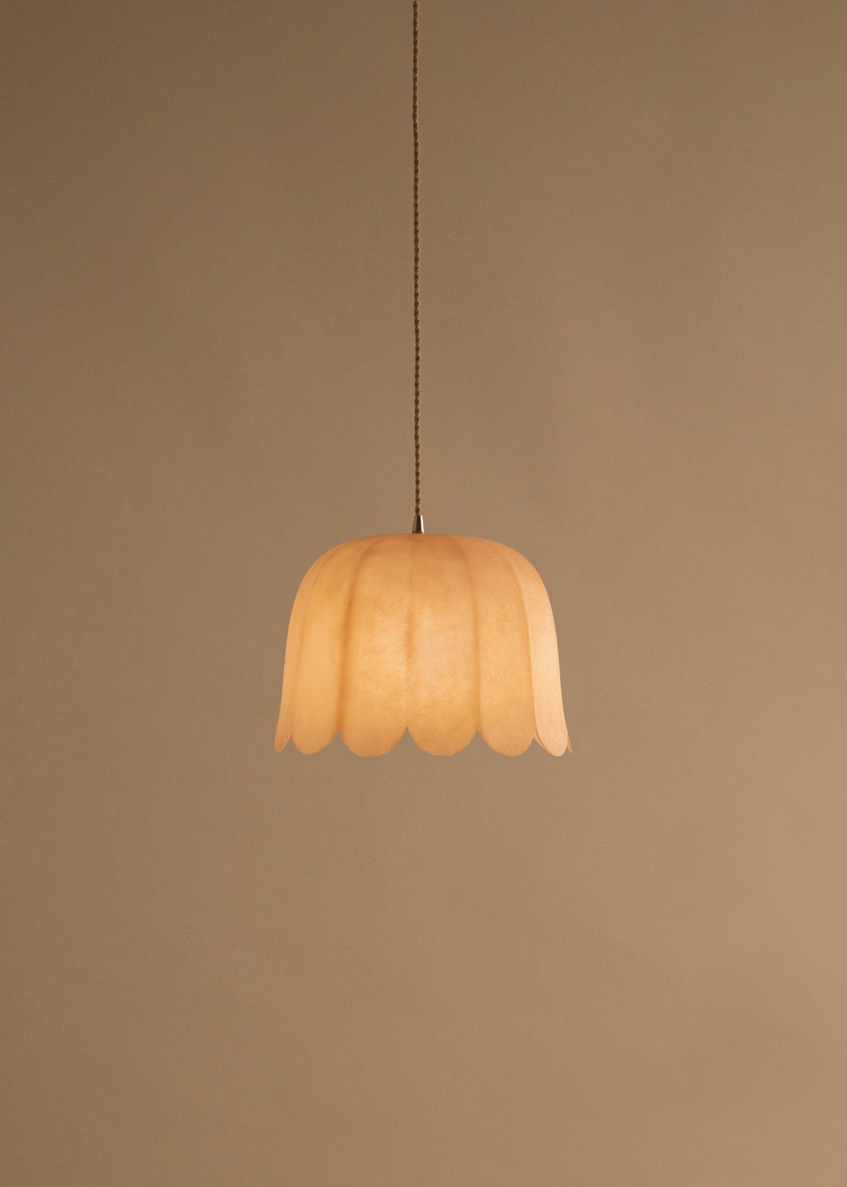 The ¨Feather¨ Pendant - Model 3 (1 shade)