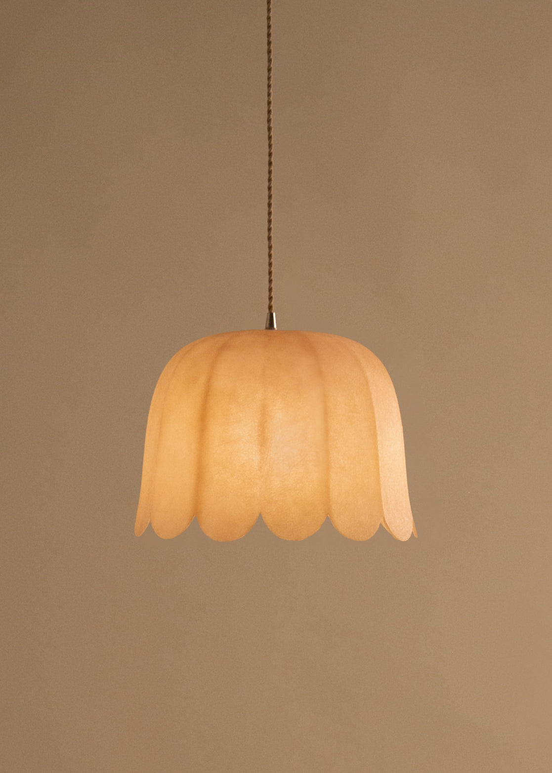 The ¨Feather¨ Pendant - Model 3 (1 shade)