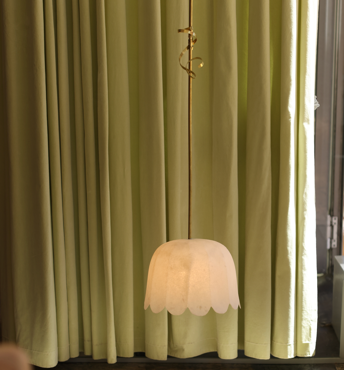 The ¨Feather¨ Pendant - Model 4   (1 shade)
