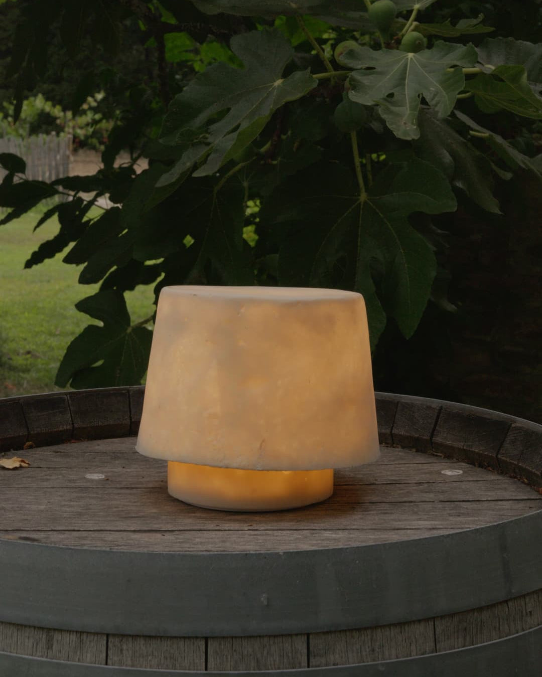 The ¨Mush¨ Lamp - Bud